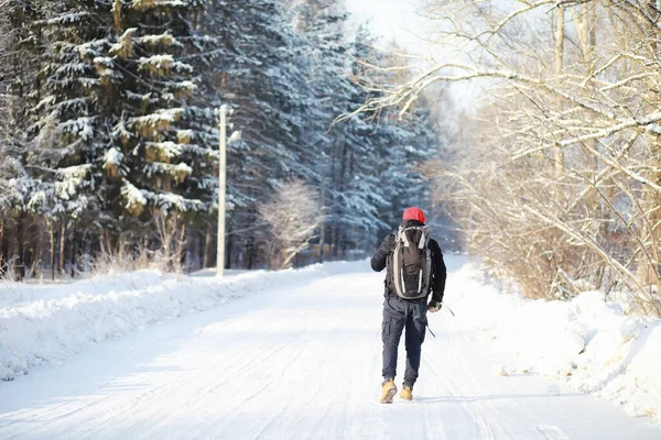 Hombre Viaja Con Una Mochila Caminata Invierno Bosque Turista Paseo — Foto de Stock