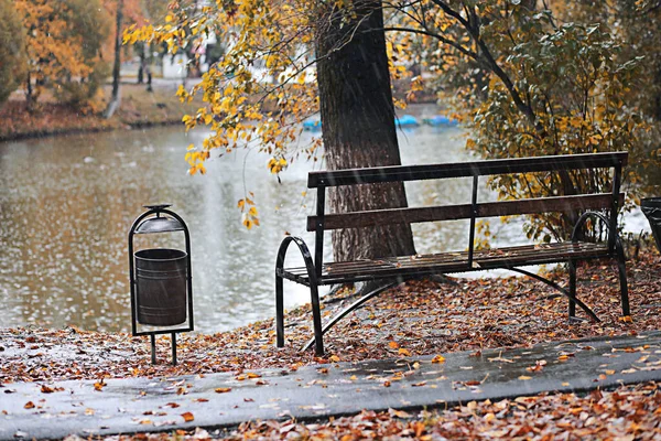 Podzimní Déšť Parku Během — Stock fotografie