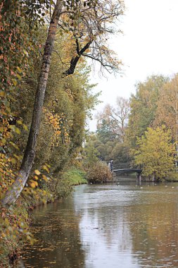 Da sırasında parkta Sonbahar yağmuru