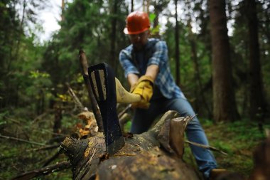 Ormanda ağaç kesen baltalı bir erkek işçi..