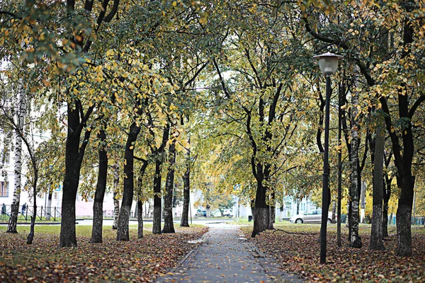 Herfst Regen Het Park Tijdens — Stockfoto