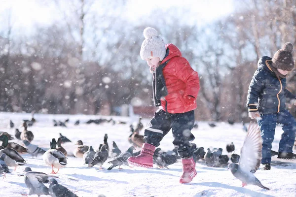 Kinderen Voeden Vogels Het Park Wind — Stockfoto