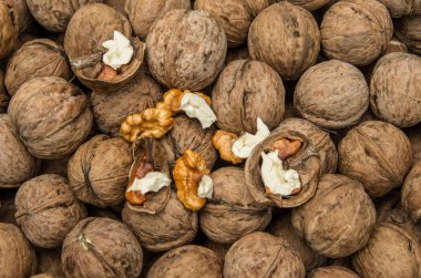 ceviz çekirdeği ve ceviz..