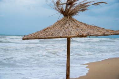 Sahilde saman şemsiyesi.