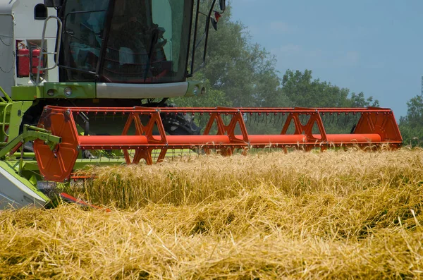 Oogst Van Tarwe Gebied Het Platteland Combineren Van Harvester Machine — Stockfoto