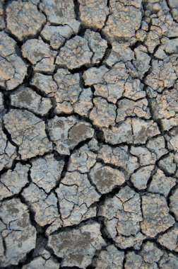 Küresel ısınma. Kuraklık nedeniyle kırık dünya