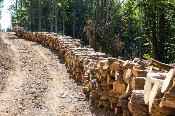 Skörd av timmer. Jordbruk och skogsbruk tema. — Stockfoto