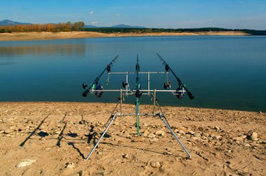 Sazan Balık tutma. İki olta balıkçılığı sahne. Üç sazan çubuklar bir su birikintisi doğru boyunca arıyorsunuz.