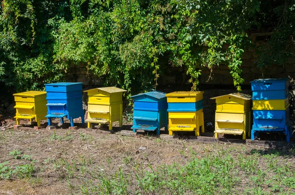 L'apiculture. Ruches d'abeilles dans le jardin . — Photo