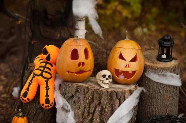 Halloween Jack Laterne Kürbis — Stockfoto