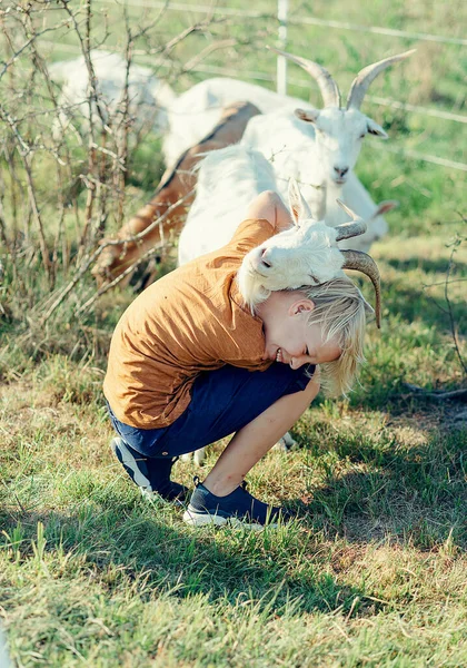 Çocuk ve keçi kırsalda