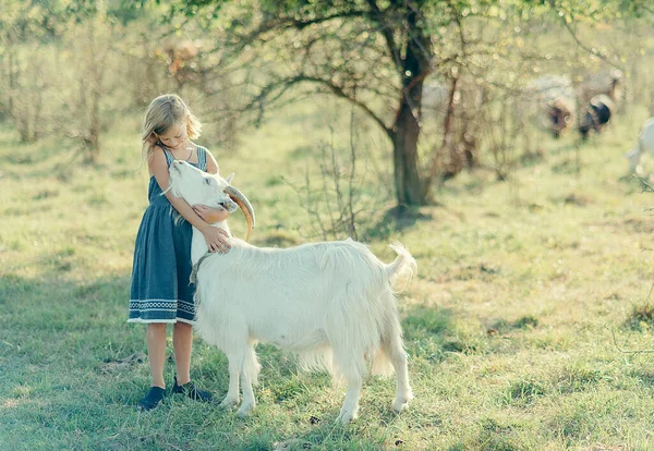 Kırsal, keçi otlağındaki çocuk