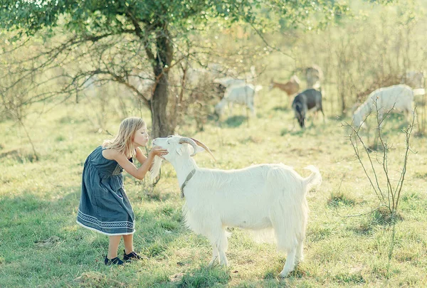 Kırsalda bir kız ve bir keçi sürüsü