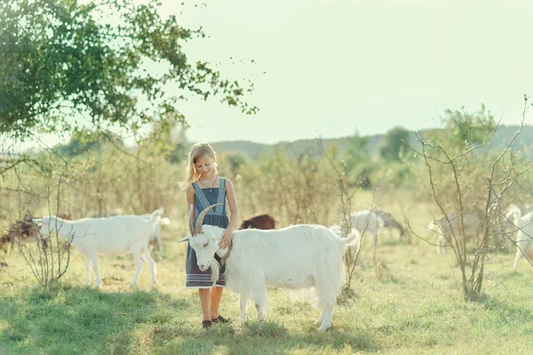 Kırsal, keçi otlağındaki çocuk