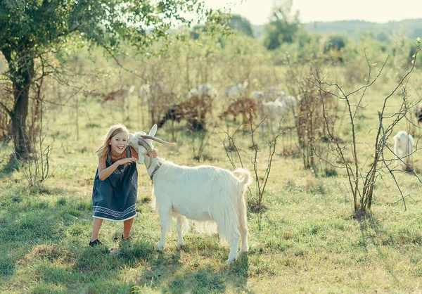田舎やヤギの放牧地の子供は — ストック写真
