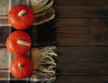 Ahşap bir arka planda balkabakları. Sonbahar, battaniye, rahatlık