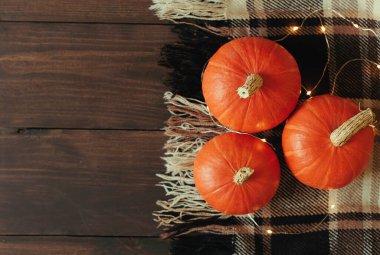 Ahşap bir arka planda balkabakları. Sonbahar, battaniye, rahatlık