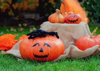  Yüzleri boyalı balkabakları, hediye kutuları ve dekoratif örümcekler. Cadılar Bayramı için arkaplan.