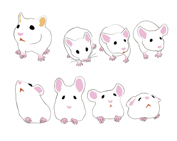 Ratones de casa linda con diferentes poses — Vector de stock