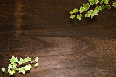 İngiliz sarmaşığı dekore edilmiş arkaplan resmi koyu kahverengi ahşap tahta üzerinde