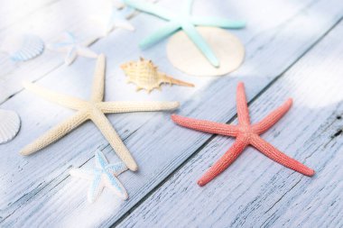 Güneş ışığıyla beyaz ahşap tahtada deniz yıldızları ve deniz kabukları