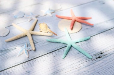 Deniz yıldızları ve deniz kabukları beyaz tahta üzerinde güneş ışığıyla