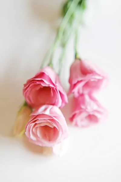 Bouquet Fleurs Eustoma Rose Rose Clair — Photo