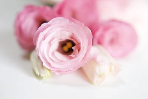 Buquê Flores Eustoma Rosa Branco — Fotografia de Stock