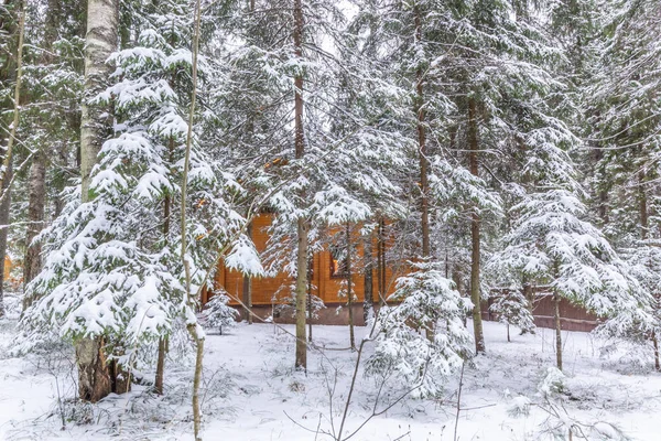 Snow-covered log cabin in the winter forest