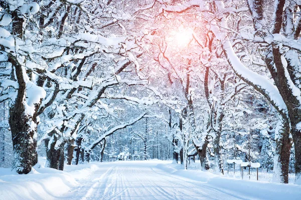 Gasse an einem verschneiten Morgen — Stockfoto