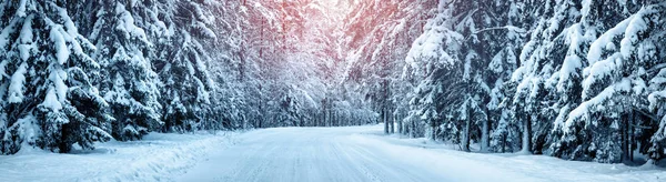 Estrada de inverno de manhã — Fotografia de Stock