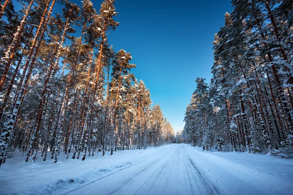 Асфальтовая Дорога Снежную Зиму Красивый Морозный Солнечный День — стоковое фото