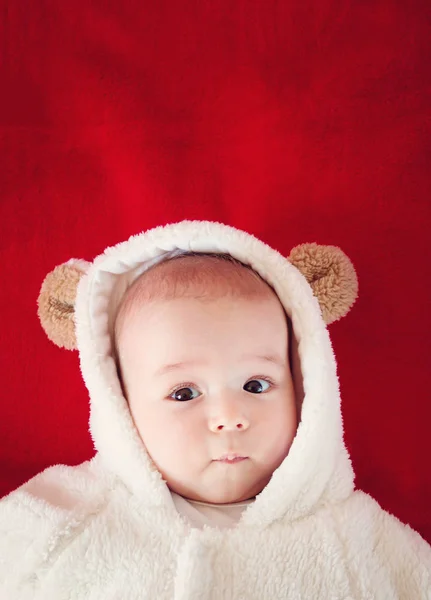 Little Baby White Bear Costume Red Blanket — Stock Photo, Image