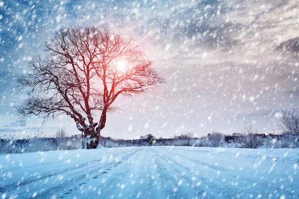 Neve sulla strada invernale — Foto Stock