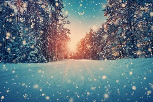 Camino en invierno nevado en hermoso día soleado — Foto de Stock