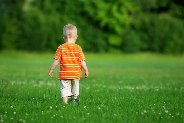 Мальчик ходит по полю — стоковое фото