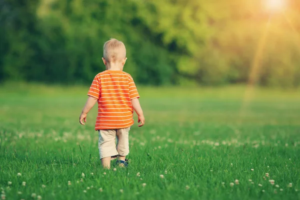 Little boy walking on the field — Stock Photo, Image