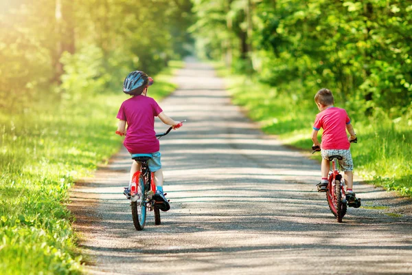 Niños Montados Bicicletas Carretera Asfalto Parque Verano — Foto de Stock