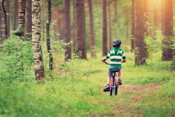 Kind Frühen Morgen Auf Dem Fahrrad Wald Junge Radelt Freien — Stockfoto