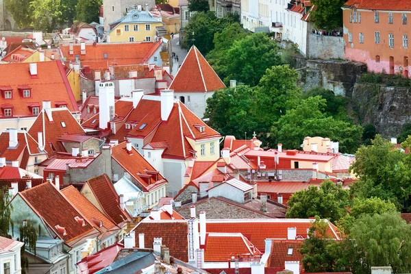 Tallinn Estonia Melihat Kota Tua Dari Gereja Oleviste Musim Panas — Stok Foto