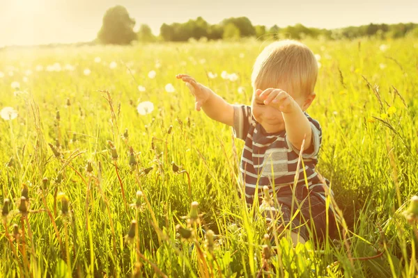 Lycklig Pojke Sitter Gräset Fieald Med Maskrosor Solig Sommarkväll Ler — Stockfoto