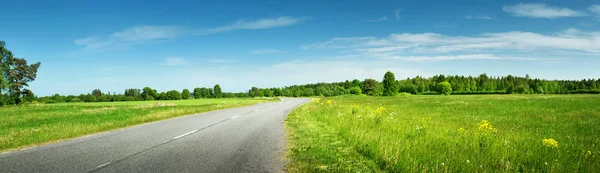 Asphalt Road Panorama Countryside Sunny Summer Day — Stock Photo, Image