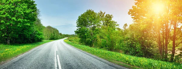 Asphalt Road Panorama Countryside Sunny Spring Day — Stock Photo, Image