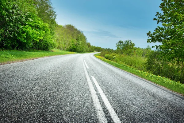 Camino Asfalto Hermoso Día Primavera Campo — Foto de Stock