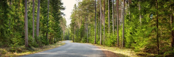 Asfaltweg Bewolkt Lente Het Bos — Stockfoto