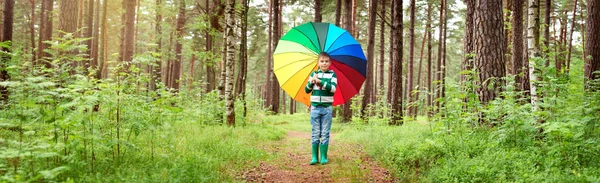 Childg Park Colourful Umbrella Boy Rainy Weather Forest — Stock Photo, Image