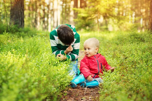 Barn Promenera Skogen Bröderna Vandring Parken Med Vackra Solljus — Stockfoto