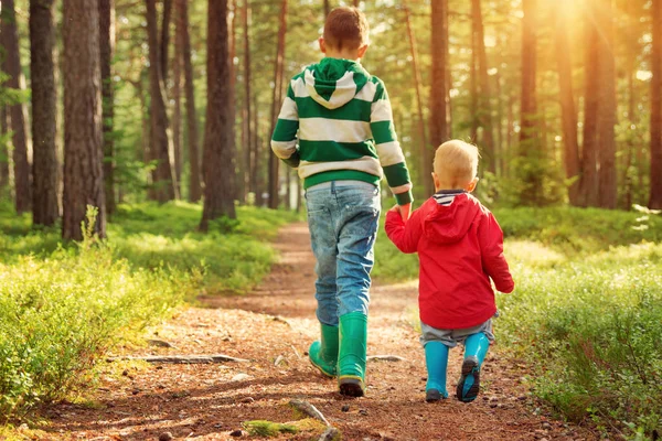 Barn Promenera Skogen Bröderna Vandring Parken Med Vackra Solljus — Stockfoto