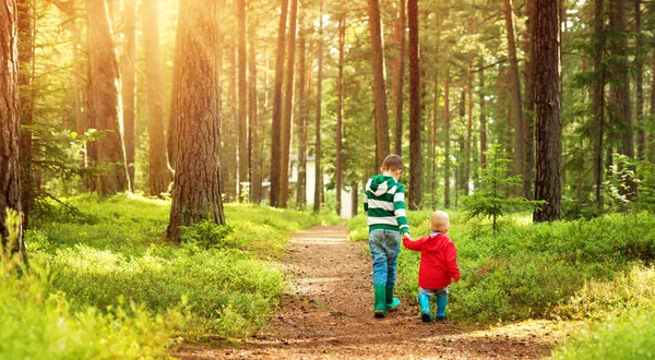 Děti Chodí Lese Bratři Parku Krásnou Sluneční Světlo — Stock fotografie