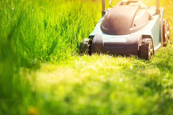 Grass Cutter Mowing Lawn Summer — Stock Photo, Image